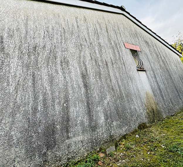 Façade avant nettoyage